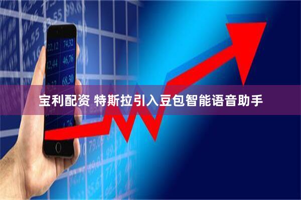 宝利配资 特斯拉引入豆包智能语音助手